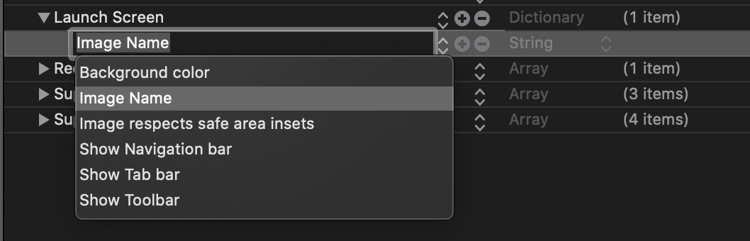 Info.plist Launch Screen Dictionary options